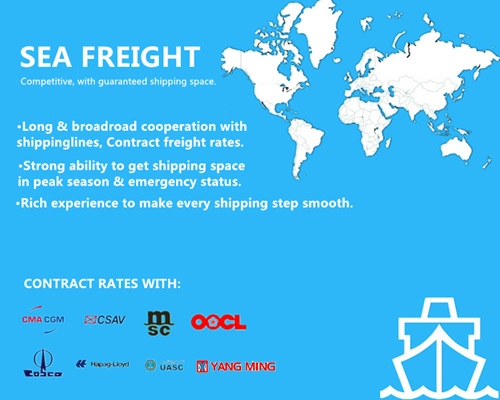 Ningbo Cheap Sea Freight to Dubai or Value Added Business Management Services