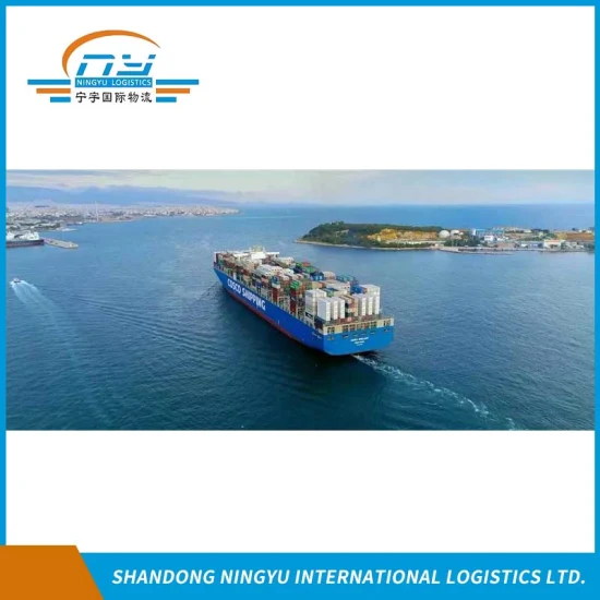 Specialista DDU DDP per il trasporto marittimo dalla Cina alla Repubblica Ceca